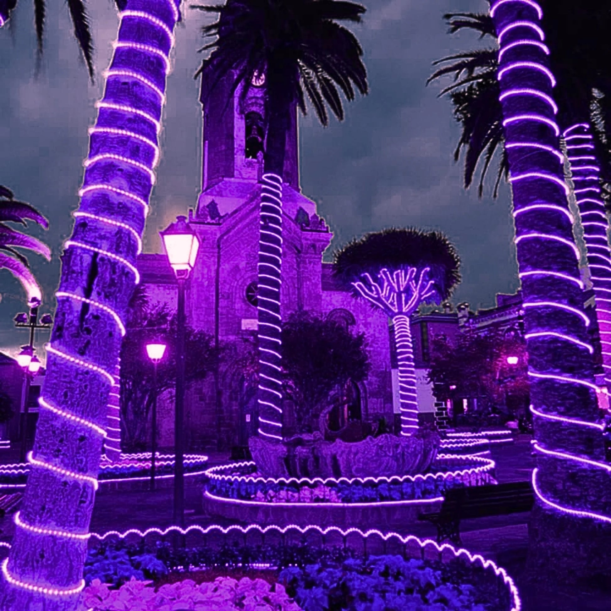purple-led-rope-light-38-150ft-roll-10