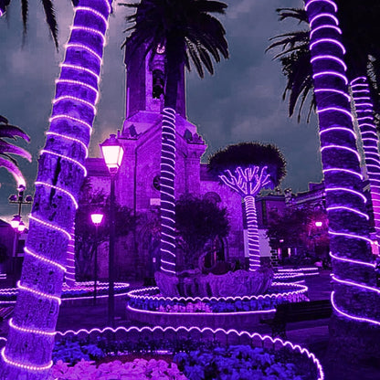 purple-led-rope-light-38-150ft-roll-10