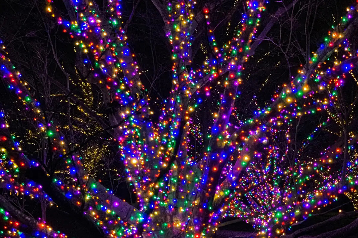 Mardi gras lighting decor