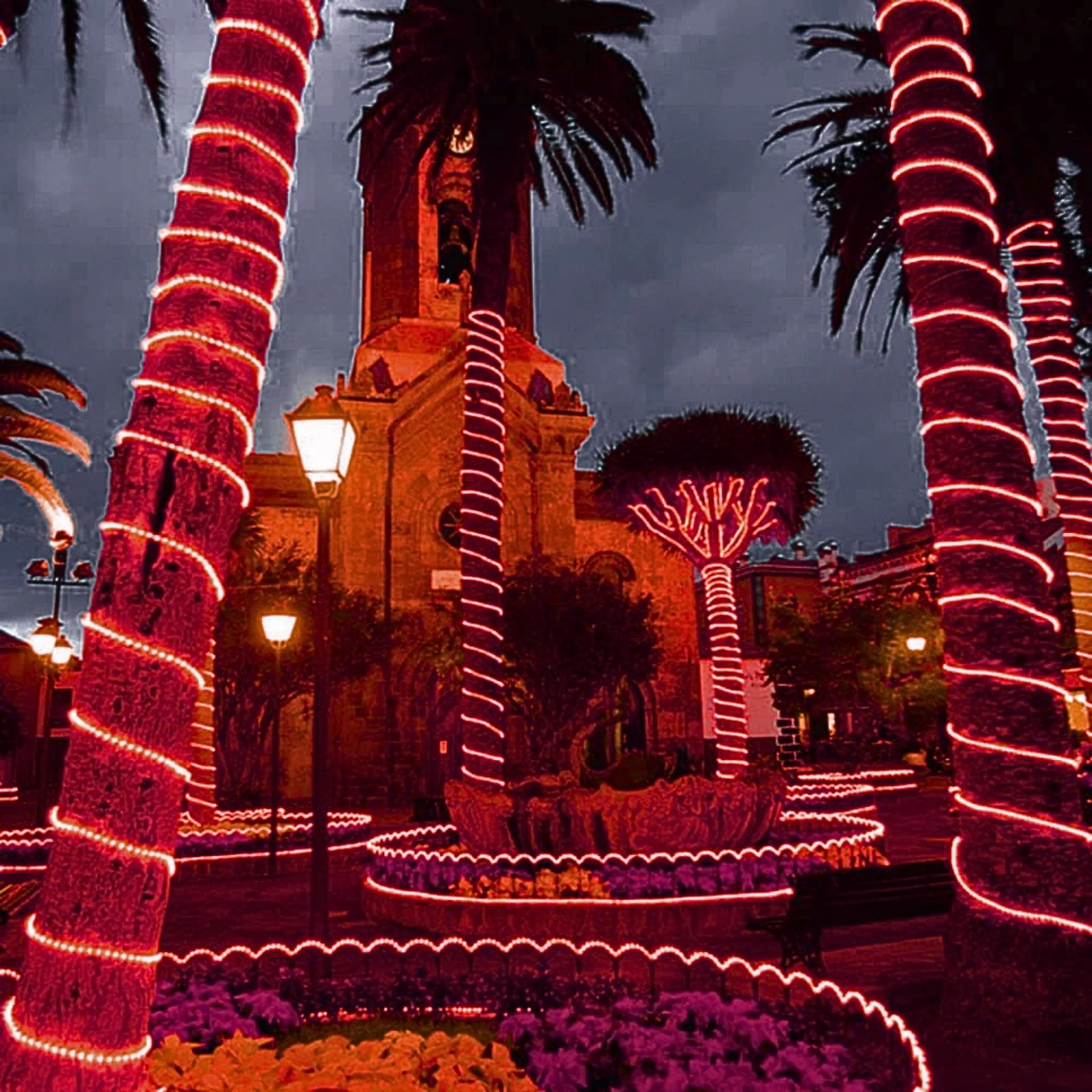 red-led-rope-light-38-150ft-roll-10