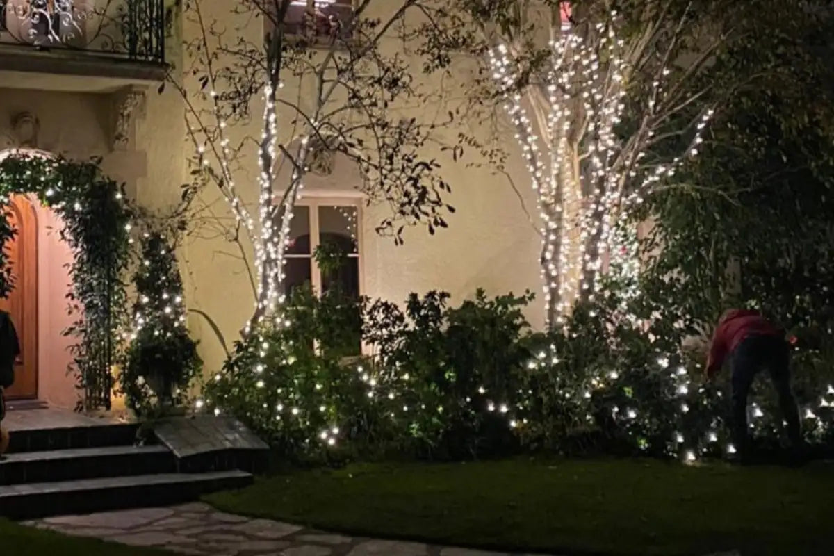 Holiday Lighting Decor Outdoor