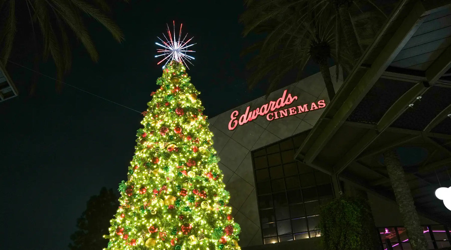 Decorated Christmas tree installation in front of Edwards Cinemas 
